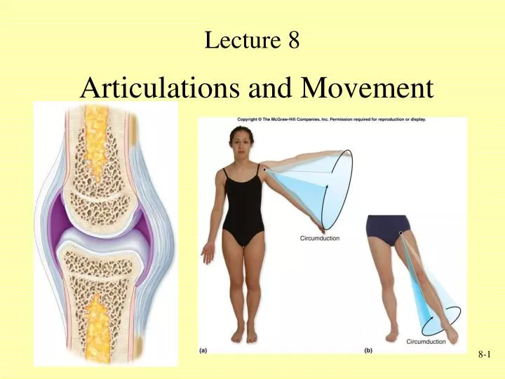 articulations and movement