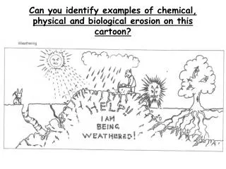 Can you identify examples of chemical, physical and biological erosion on this cartoon?