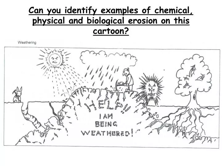 can you identify examples of chemical physical and biological erosion on this cartoon