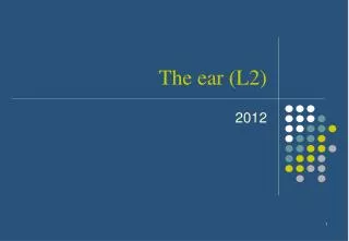 The ear (L2)
