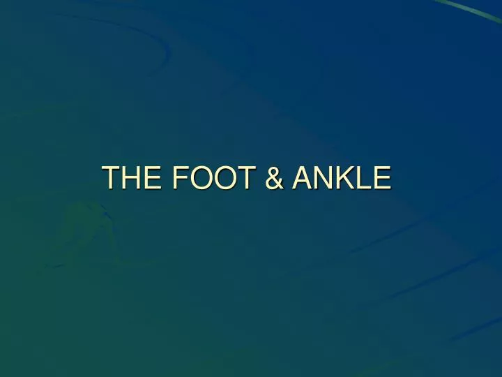the foot ankle