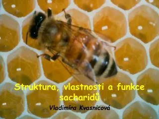 struktura vlastnosti a funkce sacharid