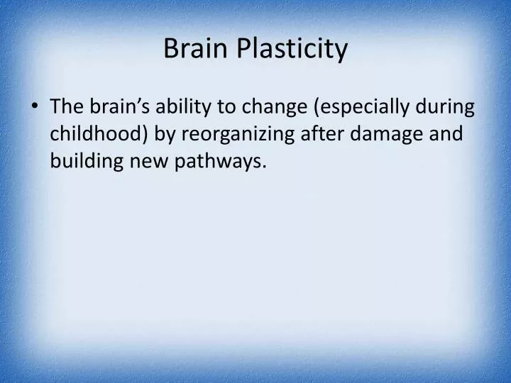 brain plasticity