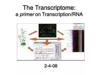 The Transcriptome: a primer on Transcription/RNA