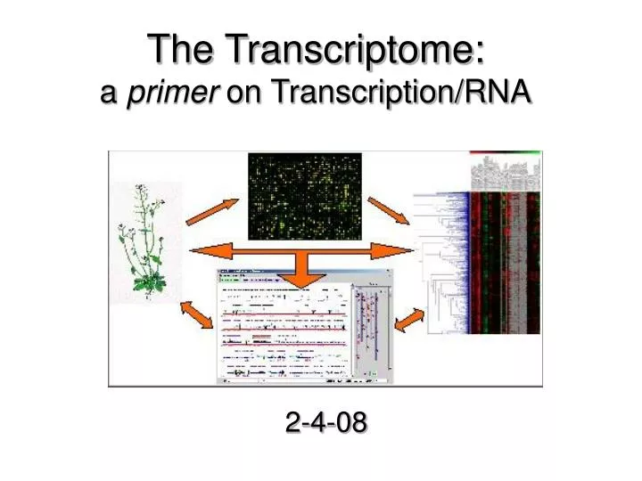 the transcriptome a primer on transcription rna