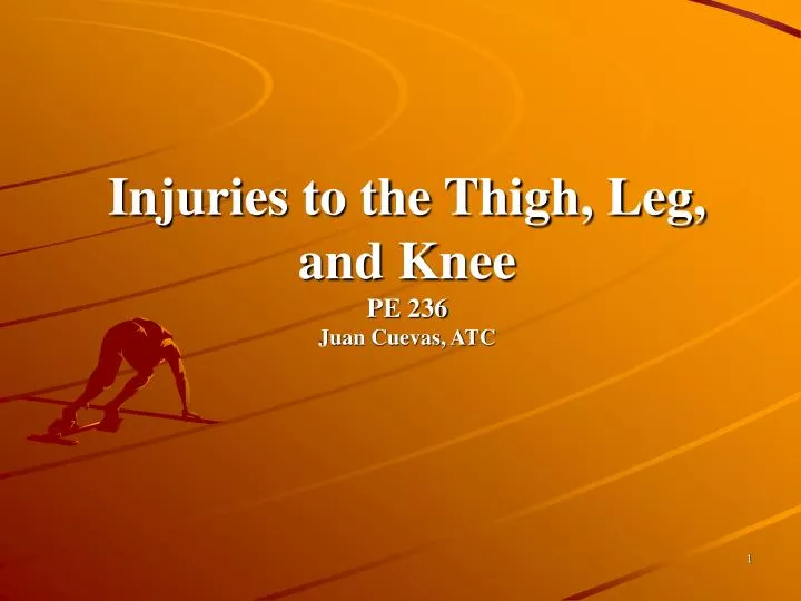 injuries to the thigh leg and knee pe 236 juan cuevas atc