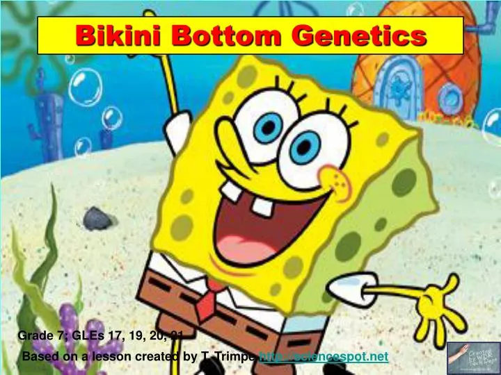 bikini bottom genetics