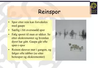 reinspor