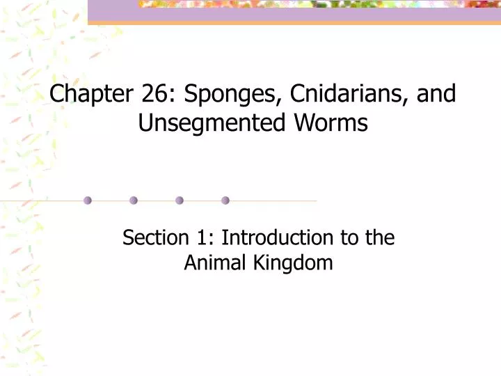 chapter 26 sponges cnidarians and unsegmented worms