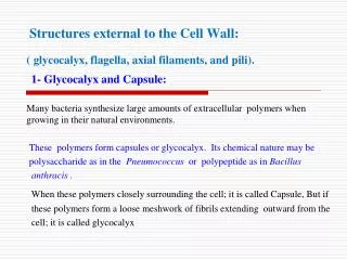 Structures external to the Cell Wall: