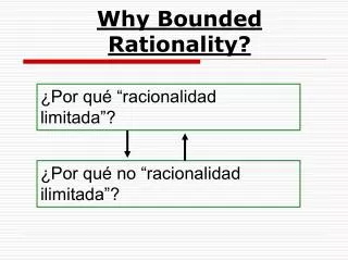 Why Bounded Rationality?