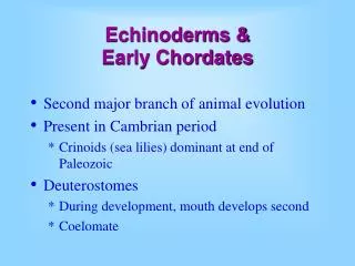 Echinoderms &amp; Early Chordates