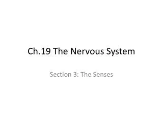 Ch.19 The Nervous System