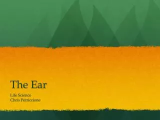 the ear
