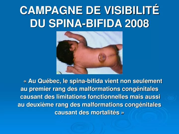 campagne de visibilit du spina bifida 2008