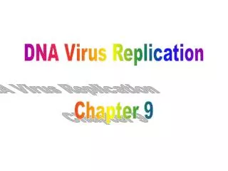 DNA Virus Replication Chapter 9