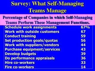 Survey: What Self-Managing Teams Manage