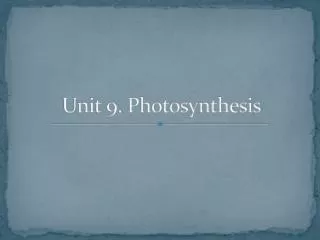 Unit 9. Photosynthesis