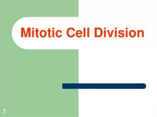 mitotic cell division