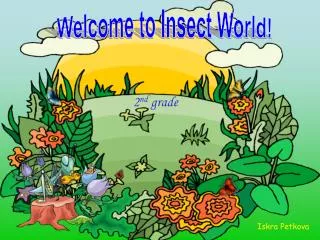 Welcome to Insect World!