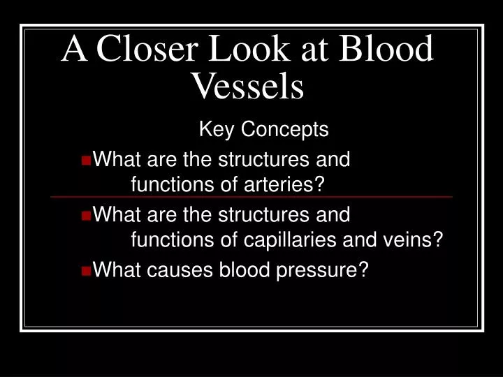 a closer look at blood vessels