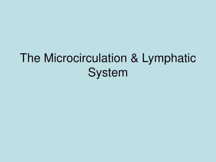 the microcirculation lymphatic system