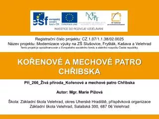 ko enov a mechov patro ch ibska