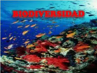 biodiversidad