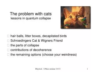 The problem with cats lessons in quantum collapse