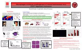 Macrophages contribute to pathogenesis of visceral leishmaniasis via a STAT1-dependent mechanism