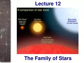 The Family of Stars