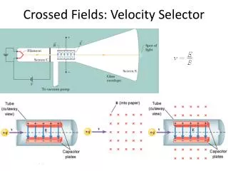 Crossed Fields: Velocity Selector
