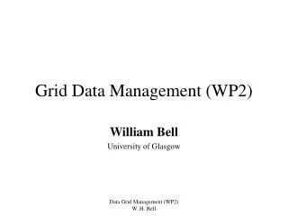 Grid Data Management (WP2)