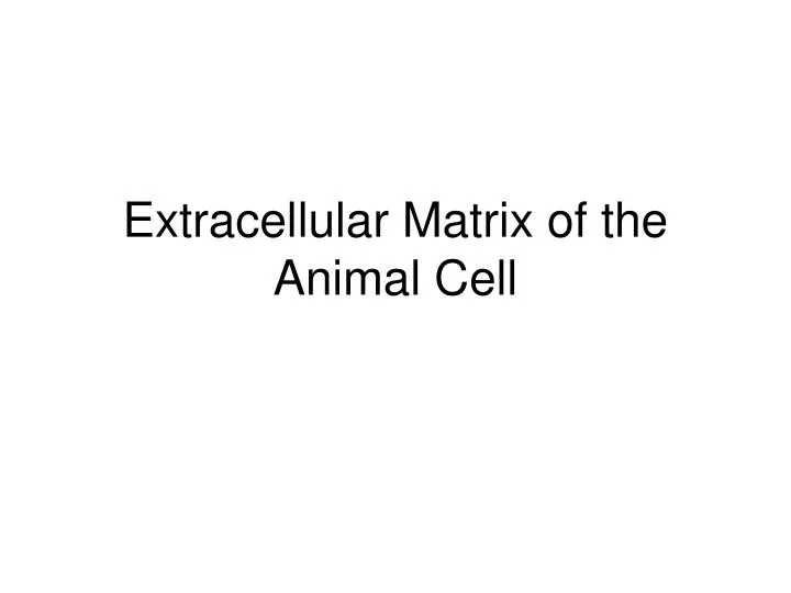extracellular matrix of the animal cell