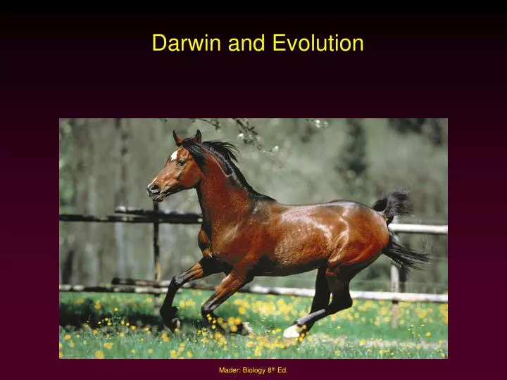 darwin and evolution