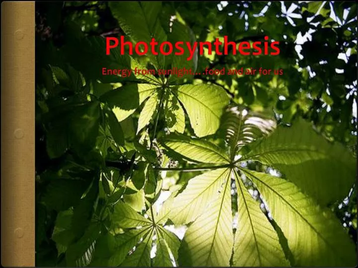 photosynthesis