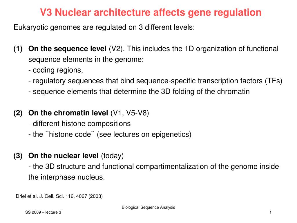 PPT - V3 Nuclear architecture affects gene regulation PowerPoint ...