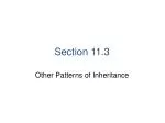 Exploring Patterns of Inheritance Beyond Dominant and Recessive Alleles - slide 1