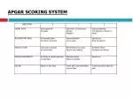 APGAR SCORING SYSTEM - slide 1