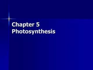 Chapter 5 Photosynthesis