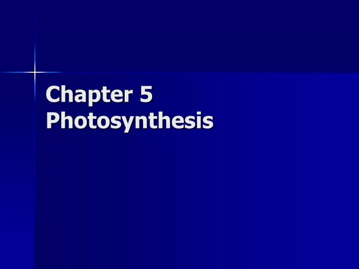 chapter 5 photosynthesis