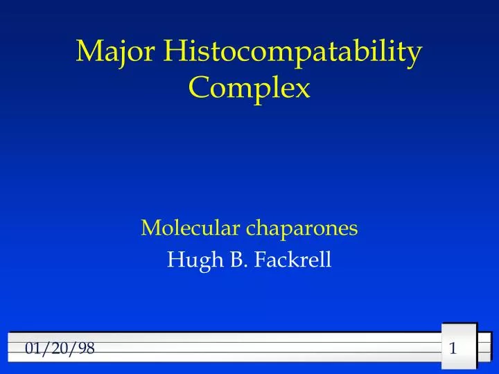 major histocompatability complex