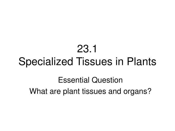 23 1 specialized tissues in plants