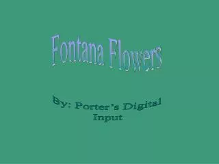 Fontana Flowers
