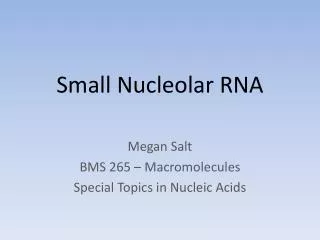 Small Nucleolar RNA