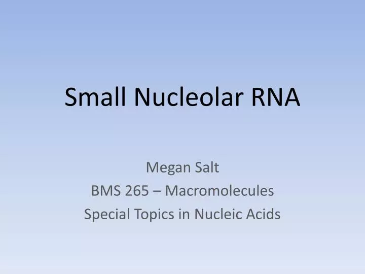 small nucleolar rna