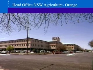 Head Office NSW Agriculture- Orange