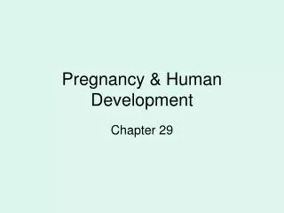 Pregnancy &amp; Human Development