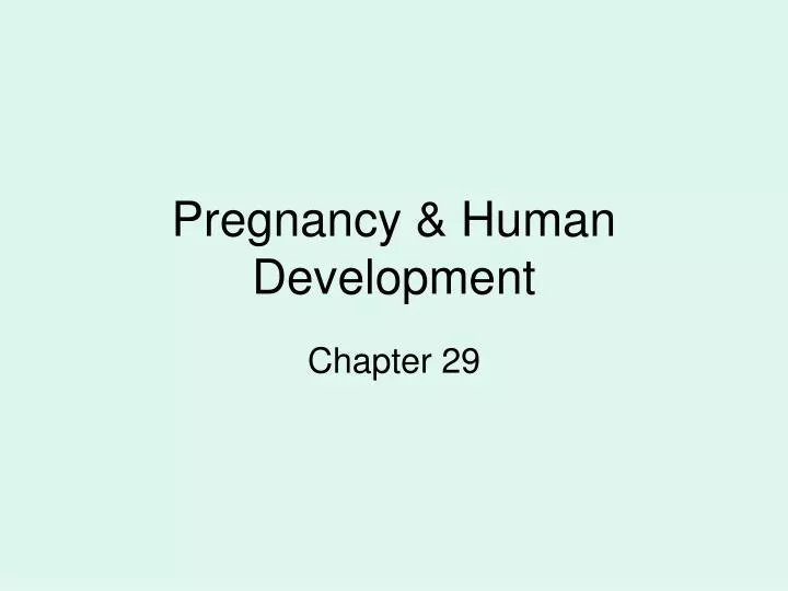 pregnancy human development