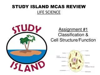 STUDY ISLAND MCAS REVIEW LIFE SCIENCE